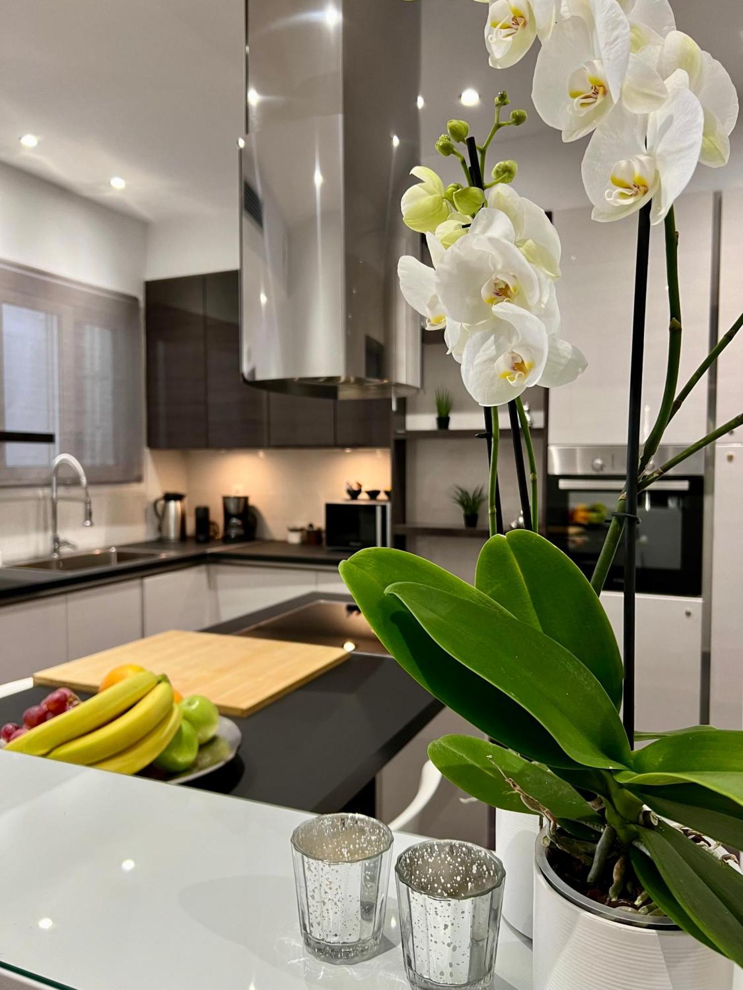 Acropolis View Deluxe Penthouse & Luxury Apartments Aten Rum bild